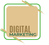 digital marketing wildcard bootcamp